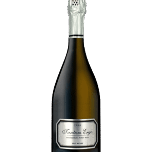 Cava Tantum Ergo Pinot Noir Brut Nature - Bodegas Hispano Suizas